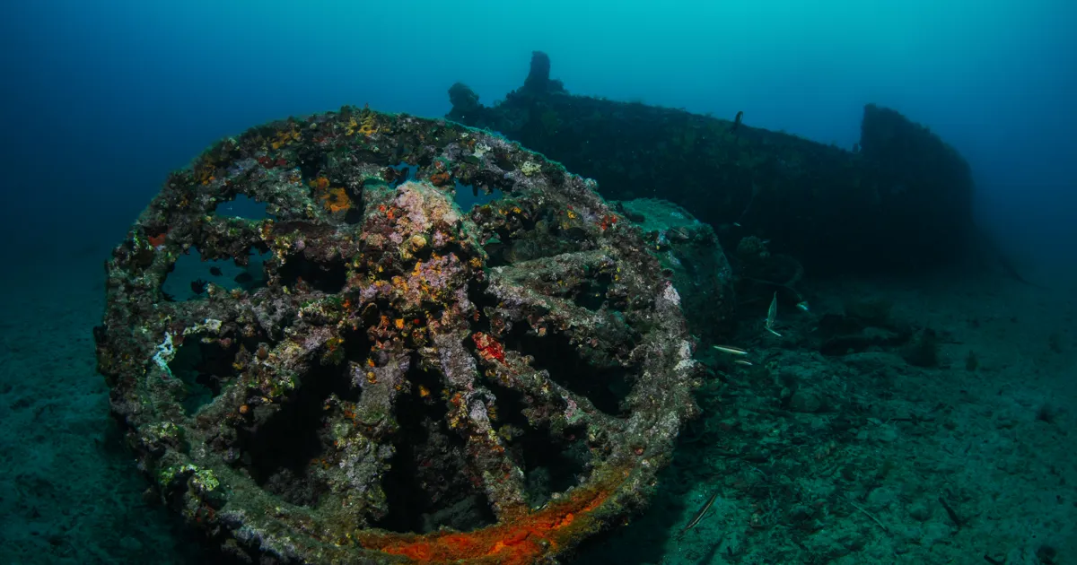 Explore the Depths of History: Gallipoli Historical Underwater Park