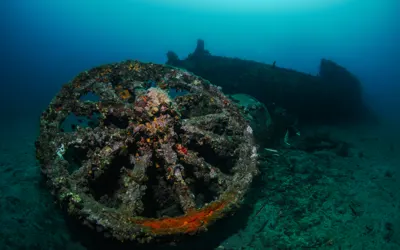 Explore the Depths of History: Gallipoli Historical Underwater Park