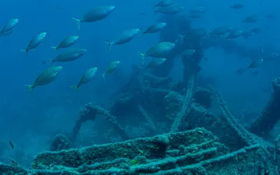 Mesudiye Zırhlısı