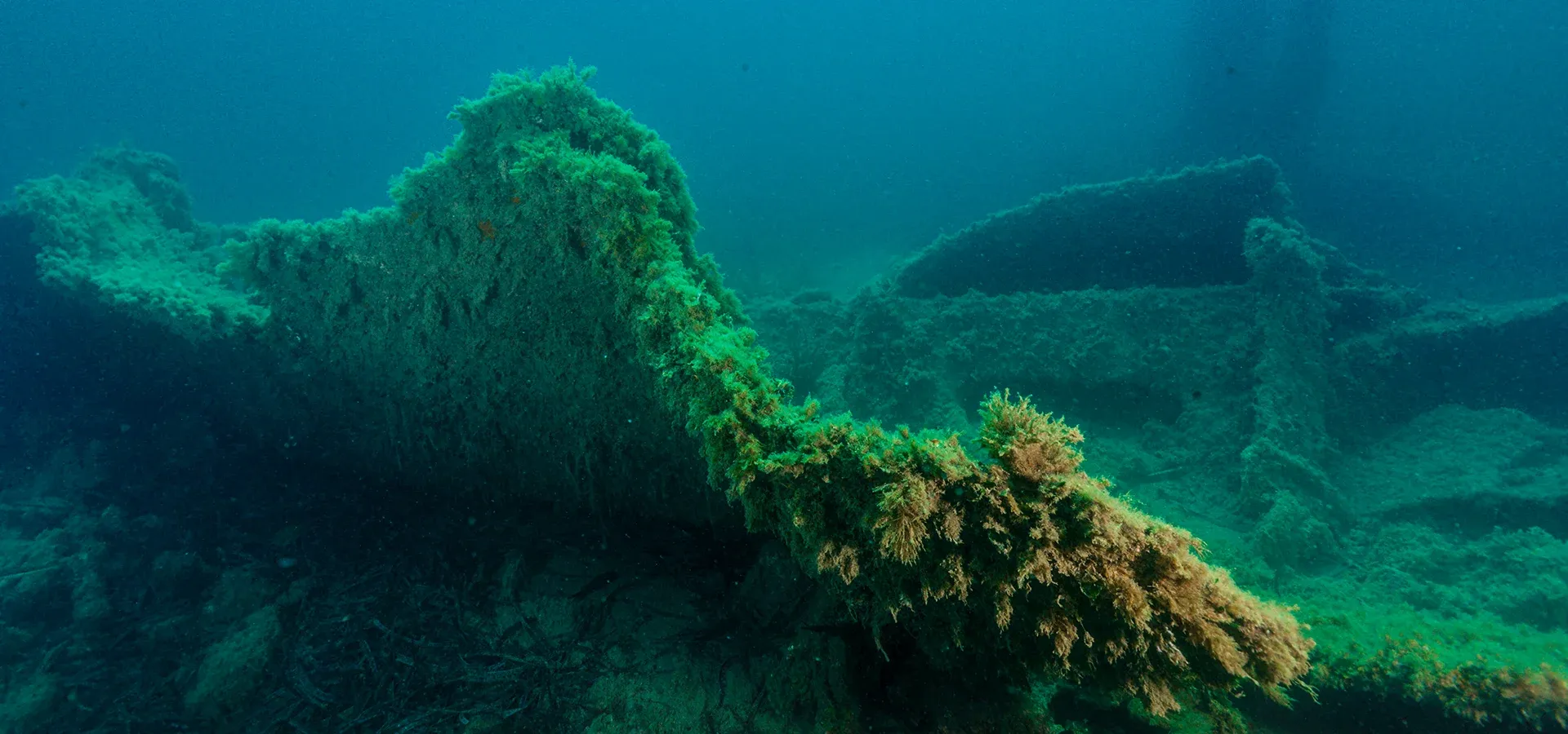 Massena and Saghalien