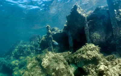 Maria Delle Vittorie and Vincenzo Florio