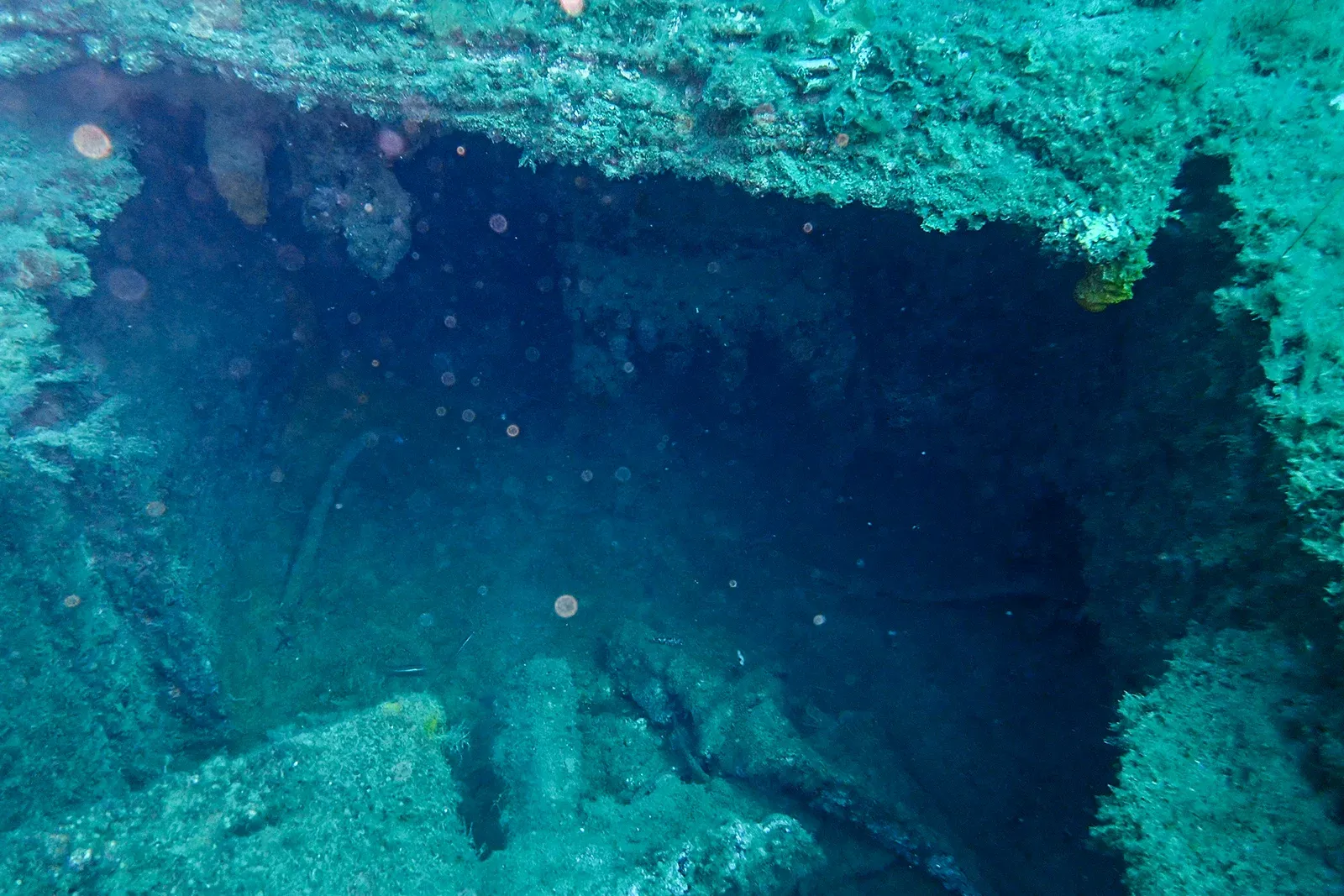 Diving Gelibolu