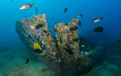 Küçükkemikli Barç