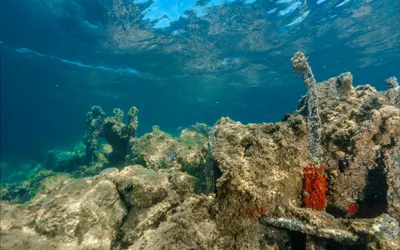 Maria Delle Vittorie and Vincenzo Florio