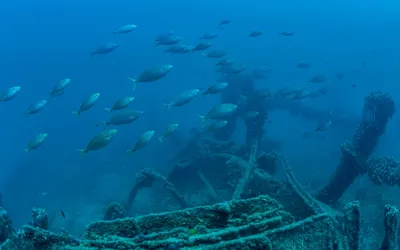 Mesudiye Zırhlısı