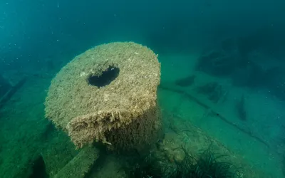 Massena and Saghalien