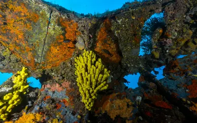 Küçükkemikli Barç